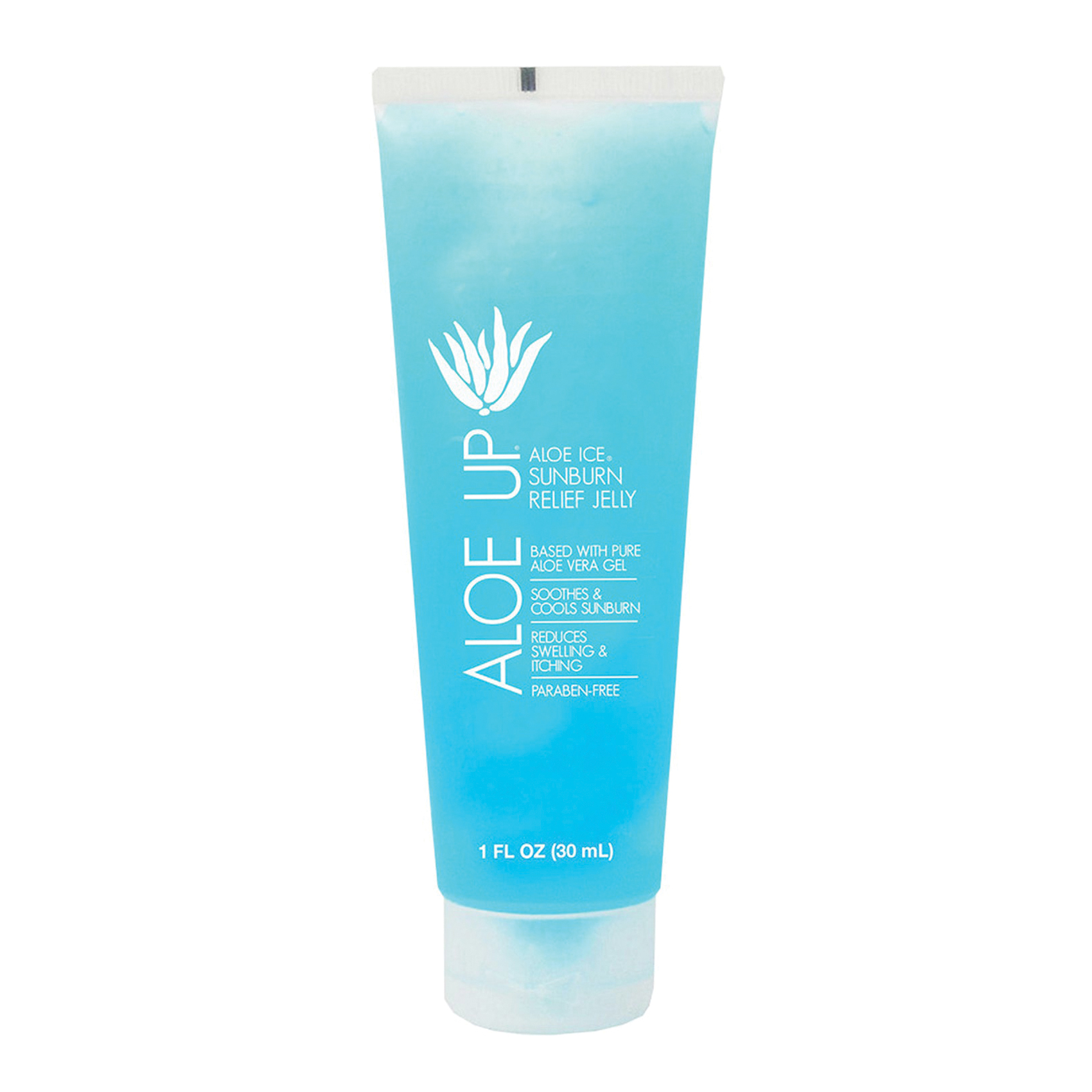 aloe pflanze standort Aloe Vera „Alfonso“ – Aloe-Vera-Pflanze in Gärtnerqualität kaufen main image 1