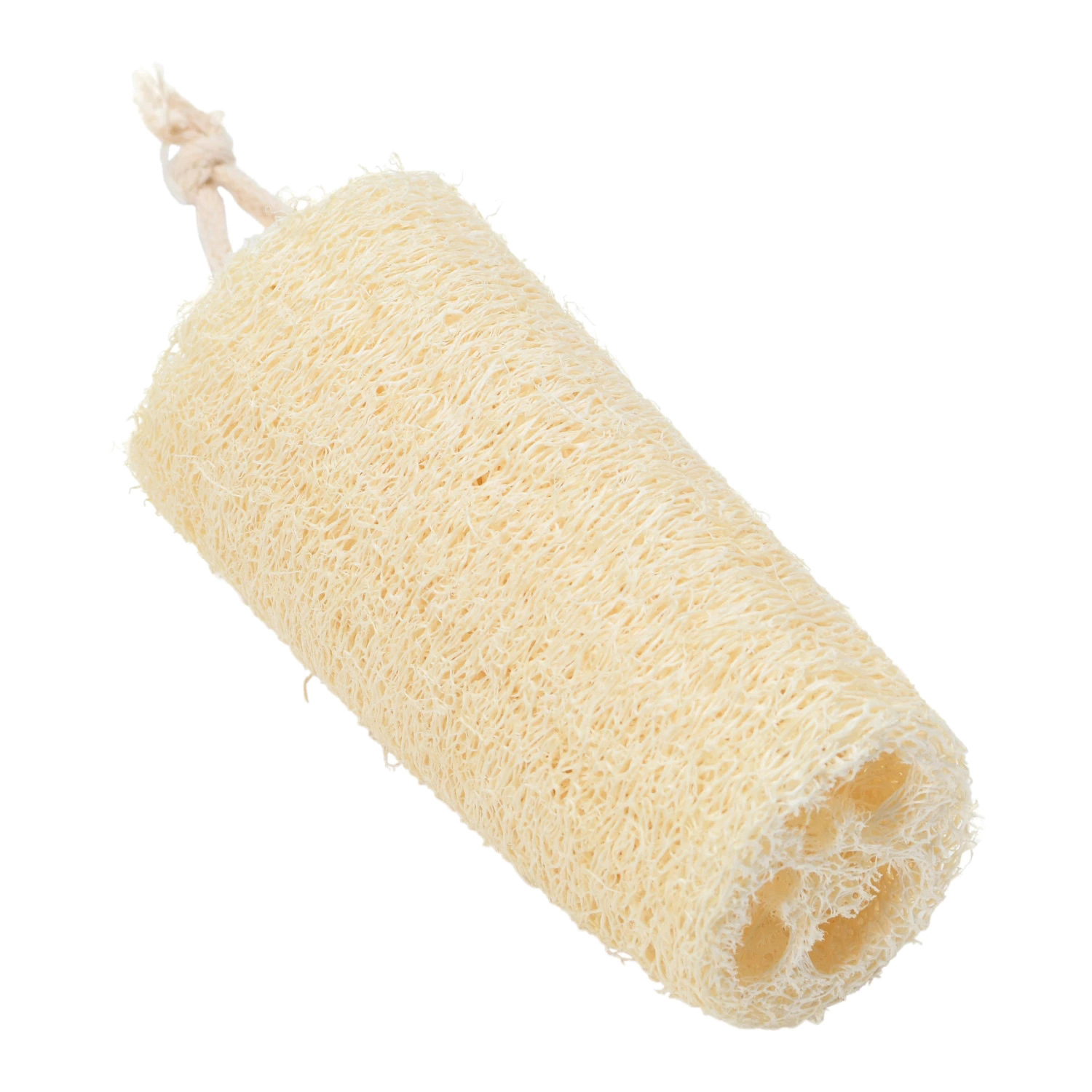 Creative Co-Op DF4817 Dish Brush with Rope Hanger, Loofah Bristle - 2