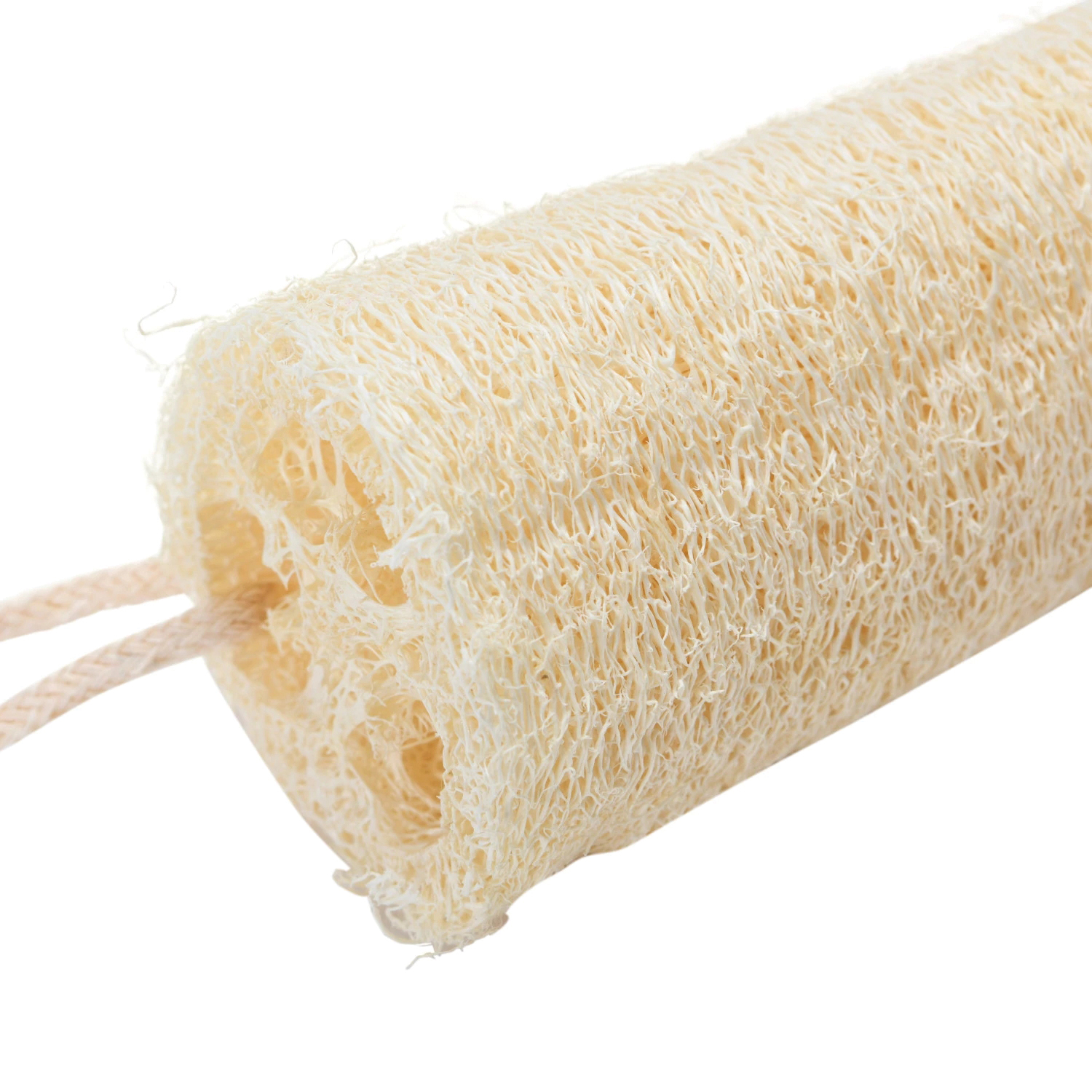 Creative Co-Op DF4817 Dish Brush with Rope Hanger, Loofah Bristle - 3