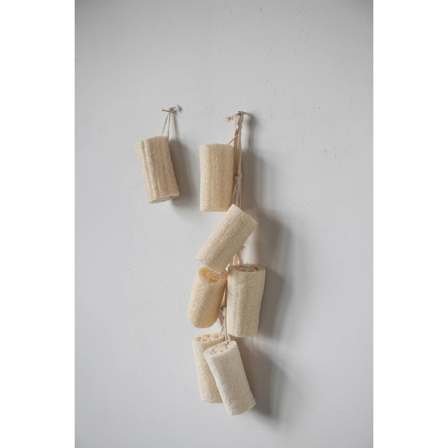 Creative Co-Op DF4817 Dish Brush with Rope Hanger, Loofah Bristle - 5