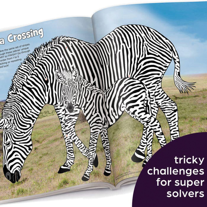 Highlights A7261 Activity Book, Ultimate Puzzle Challenge, 8 to 12 years, English - 4