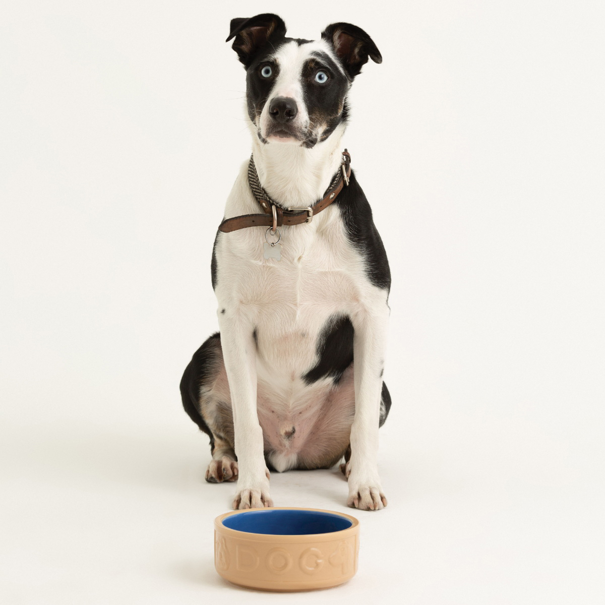 Mason Cash 2030.316 Lettered Dog Bowl, 18 cm Dia, 1.2 L Volume, Stoneware, Blue/Cane - 2