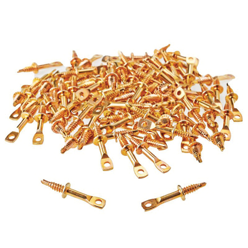 TP05025 Eye Lag Screw, 1/4 in Thread, 2 in L, Stainless Steel, 100 PK