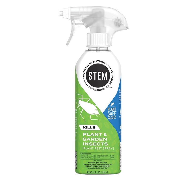 Stem 3767