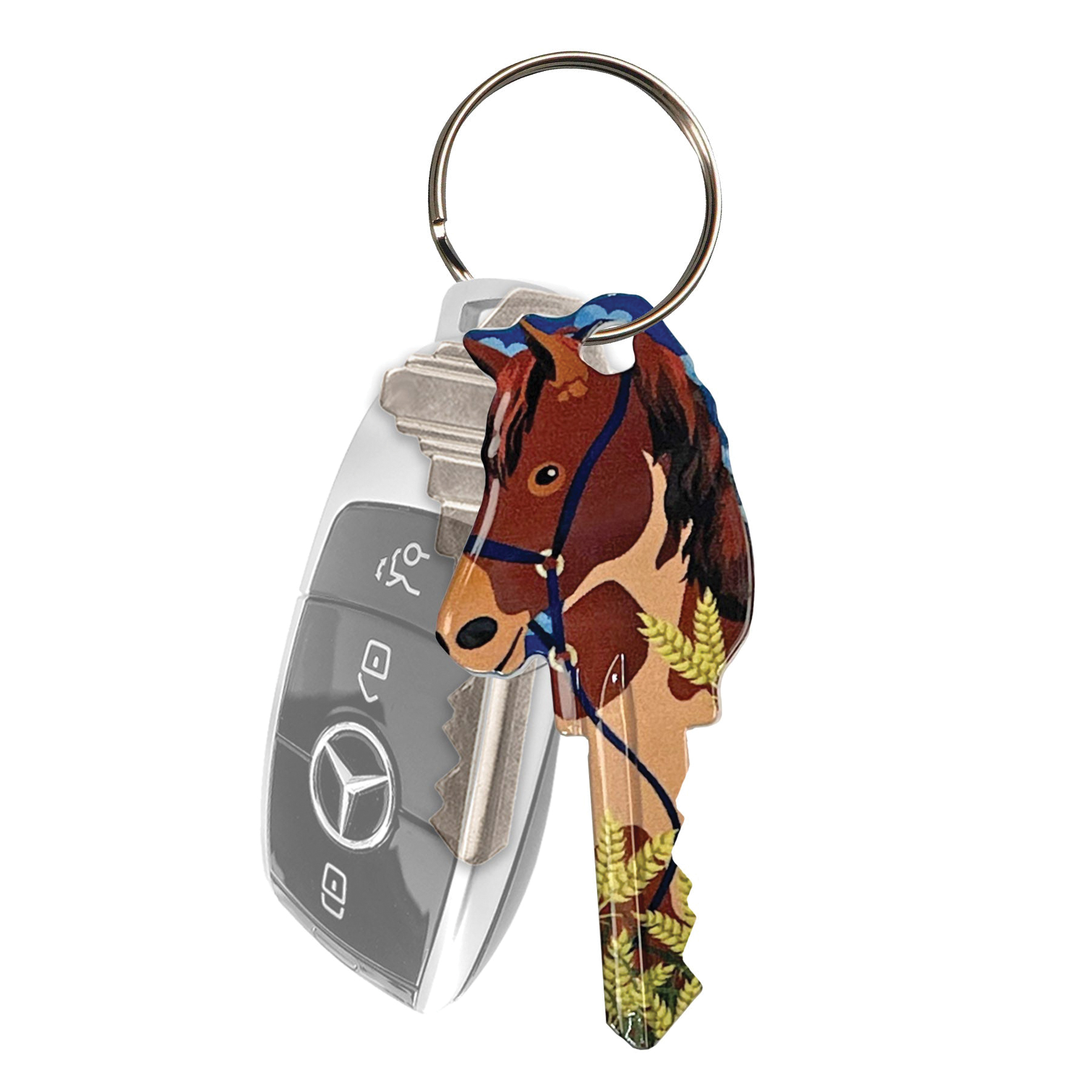 Lucky Line Key Shapes Series B149S Key Blank, Brass, Enamel, For: Schlagle Locks - 3