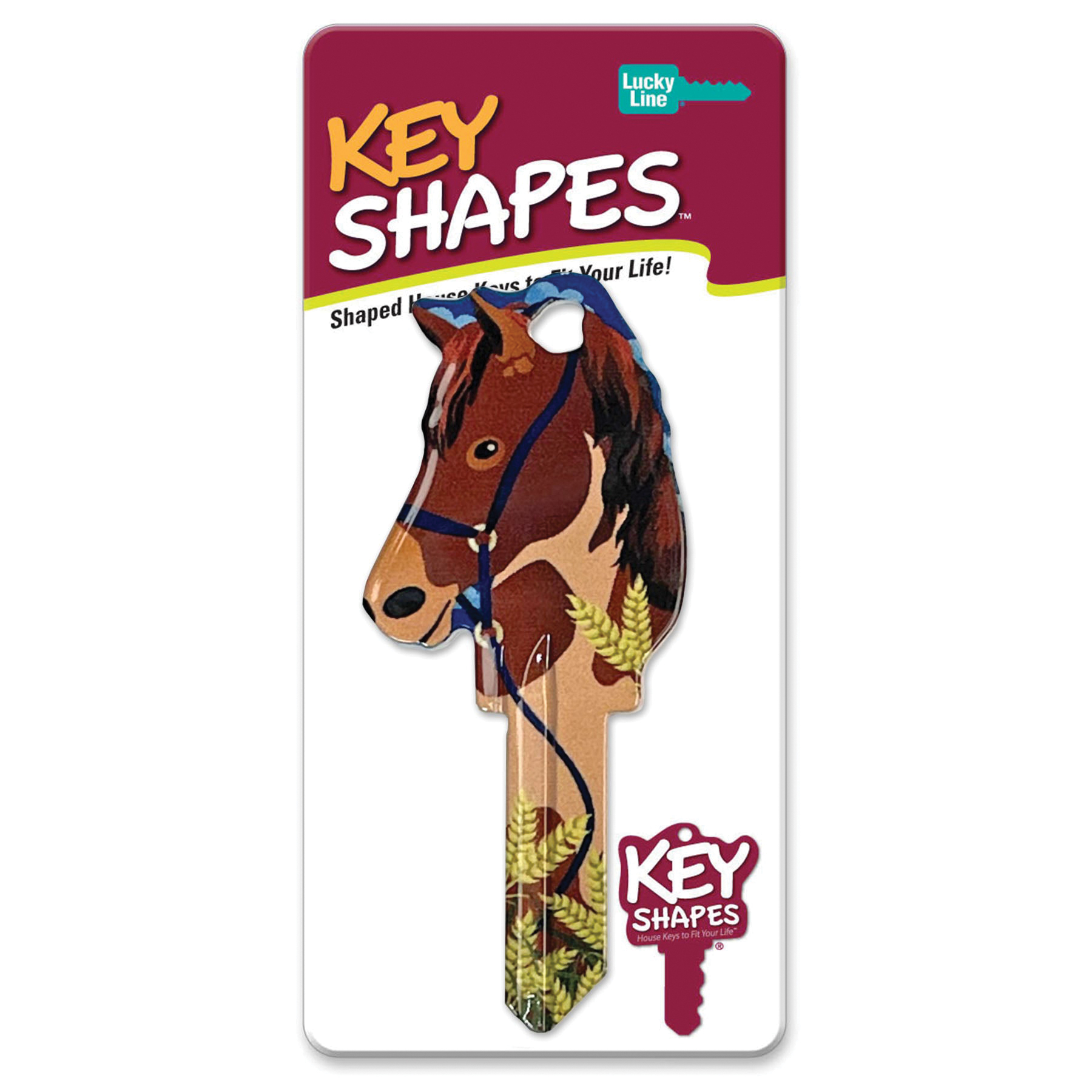Lucky Line Key Shapes Series B149S Key Blank, Brass, Enamel, For: Schlagle Locks - 5
