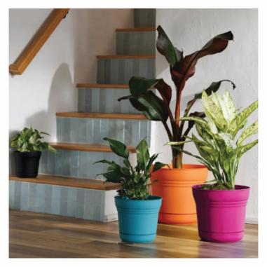 Bloem Saturn Series SP1215 Planter, 12 in Dia, Fuchsia - 2