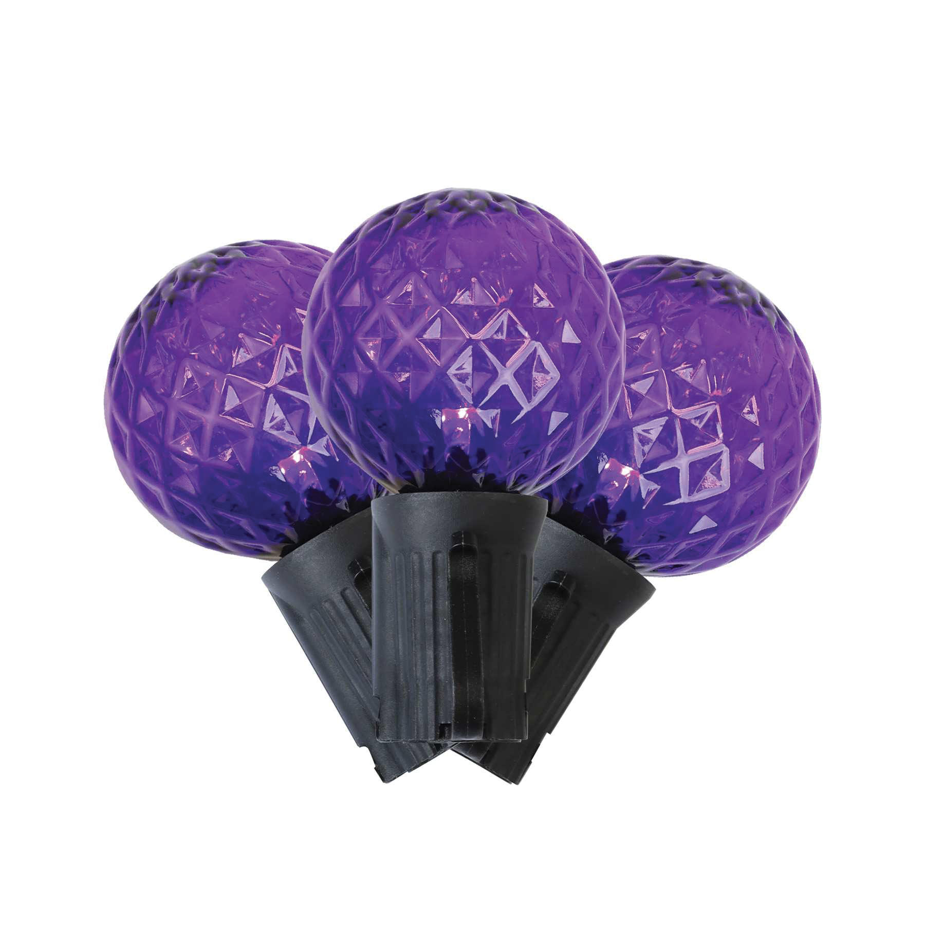 Holiday Bright Lights LEDBX-G4025-PL8