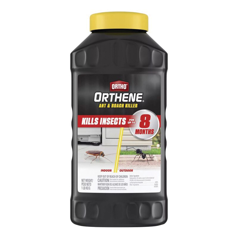 ORTHO 4612705