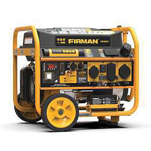Performance Series P03631 Portable Generator, 30 A, 120/240 V, 4550/3650 W Output, Gasoline, 5 gal Tank