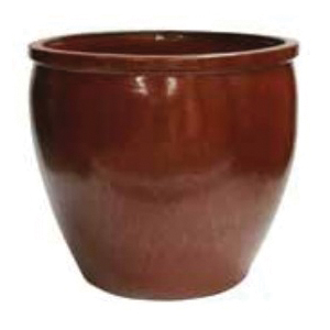 BORDER CONCEPTS 523713