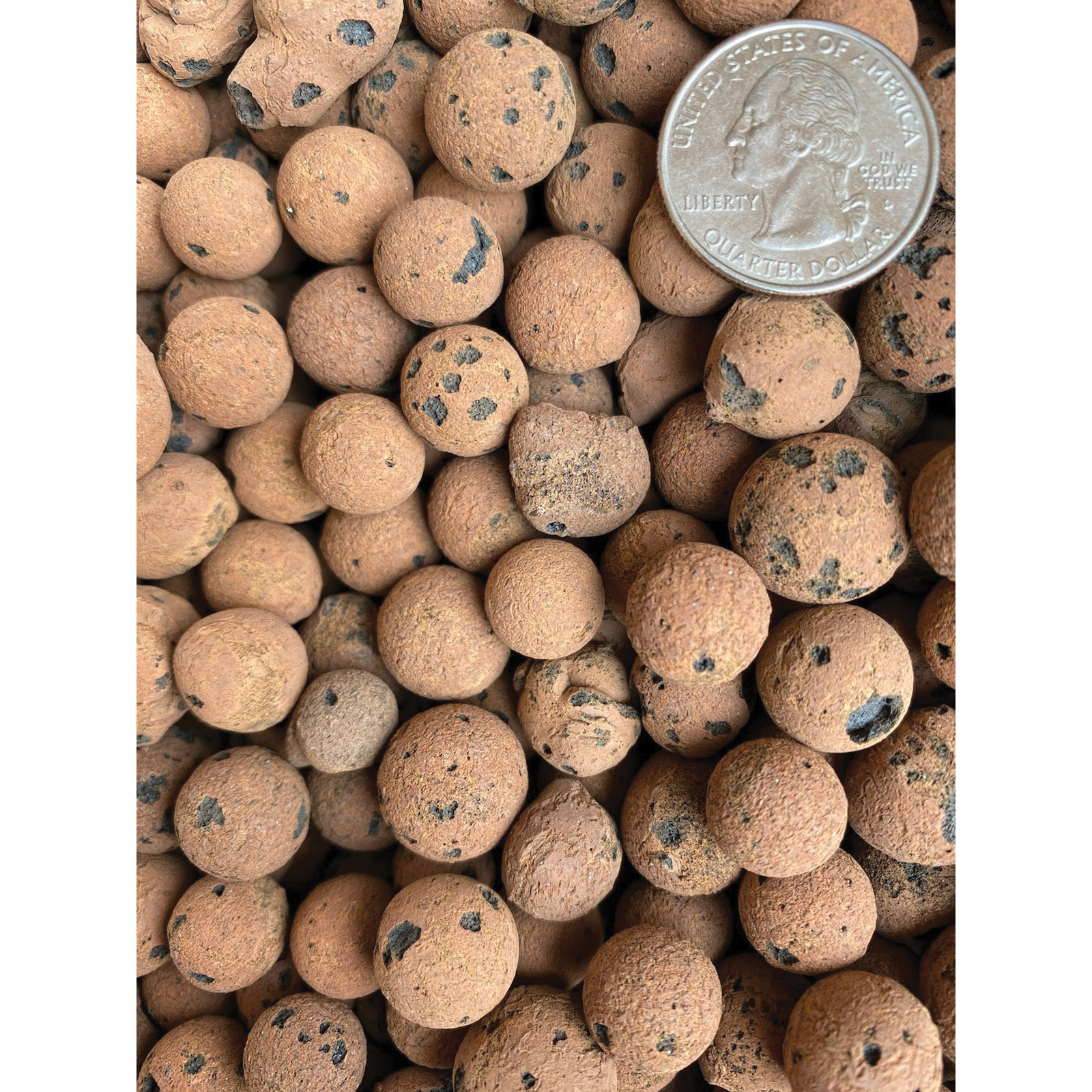 Sol Soils 03-002-2QT Leca Balls Soil Amendment, 2 qt - 3