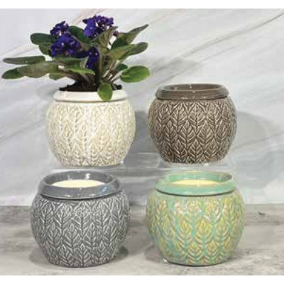 Border Concepts Small Ceramics Series 527217 Self-Watering Planter, 5-1/2 in H, 4-1/4 in W, Sherborn Design, Assorted - 2