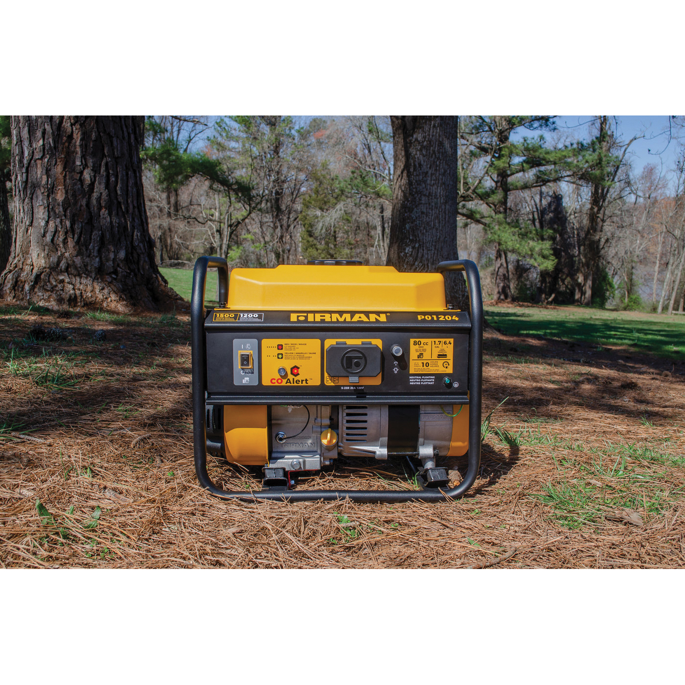 Firman Performance Series P01204 Portable Generator, 30 A, 120 V, 1200 w,Gas, 10 hr Run Time, Recoil Start - 2