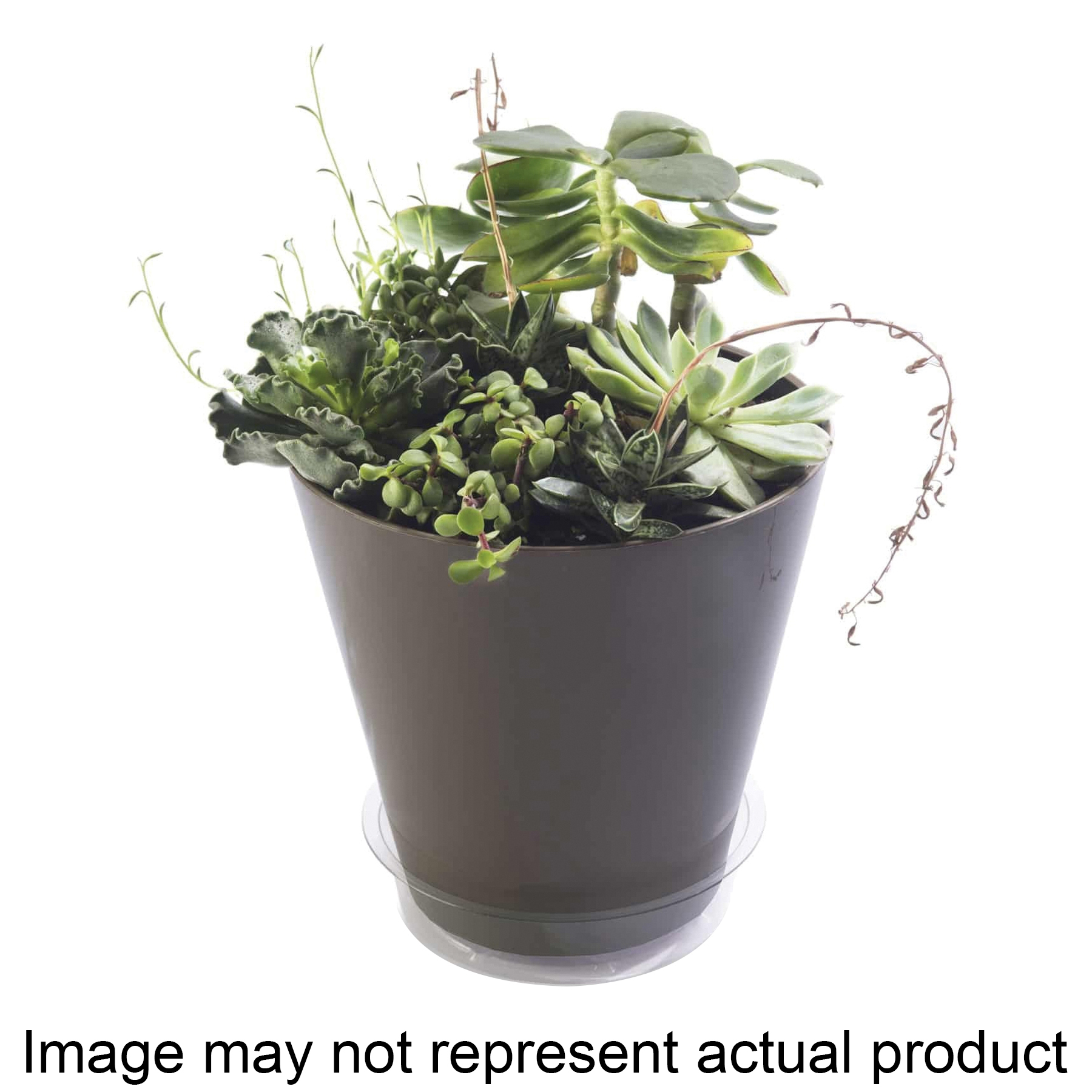 Image not found