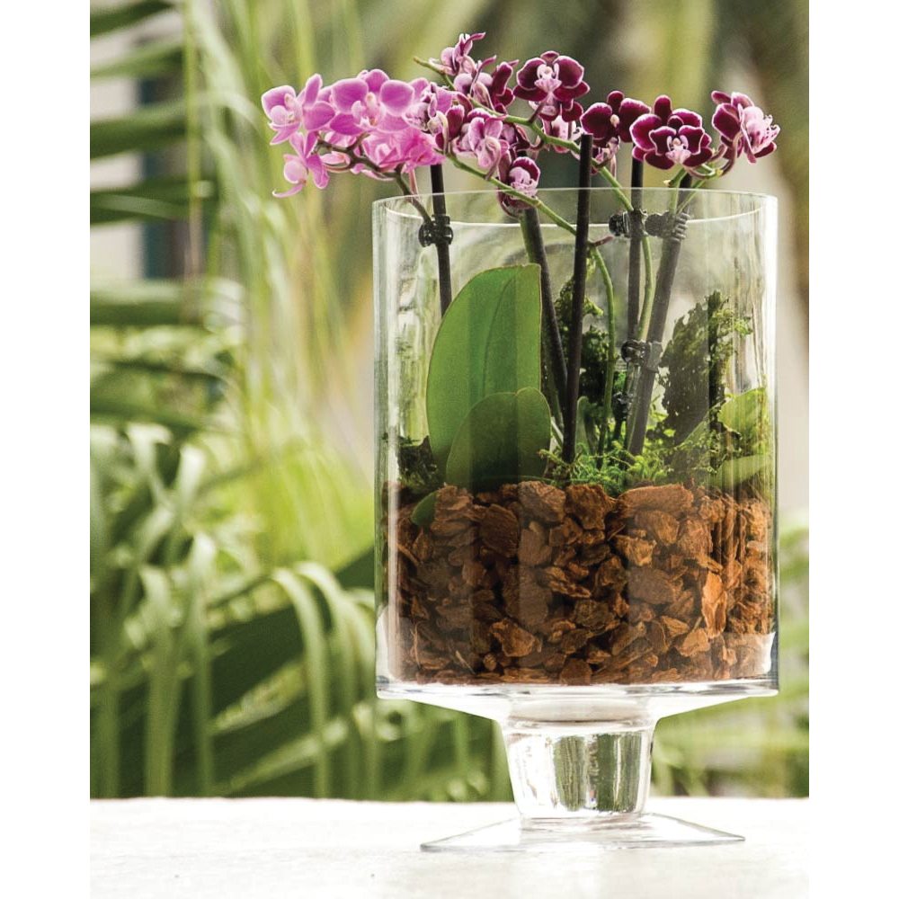SuperMoss 23115 Orchid Potting Mix, 4 qt Bag - 5