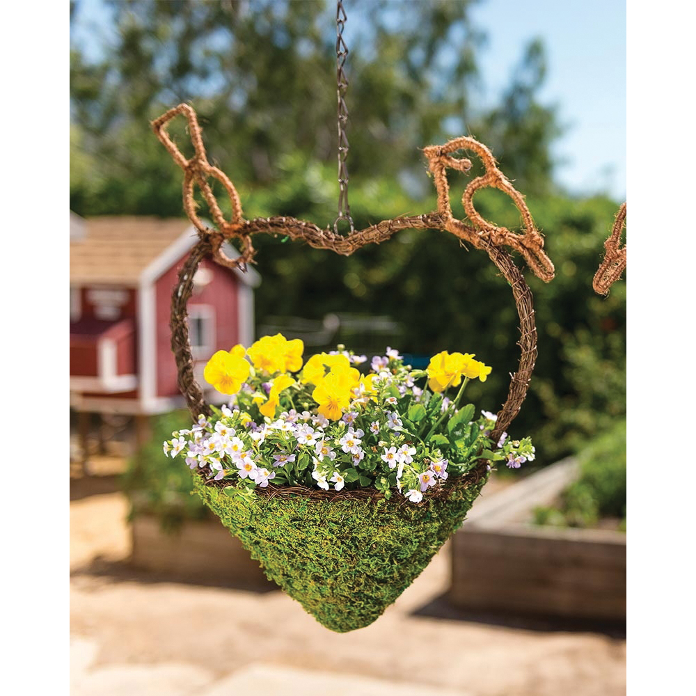 SuperMoss 56903 Bird Feeder, Sparrow Woven, Natural Moss, Hanging - 2