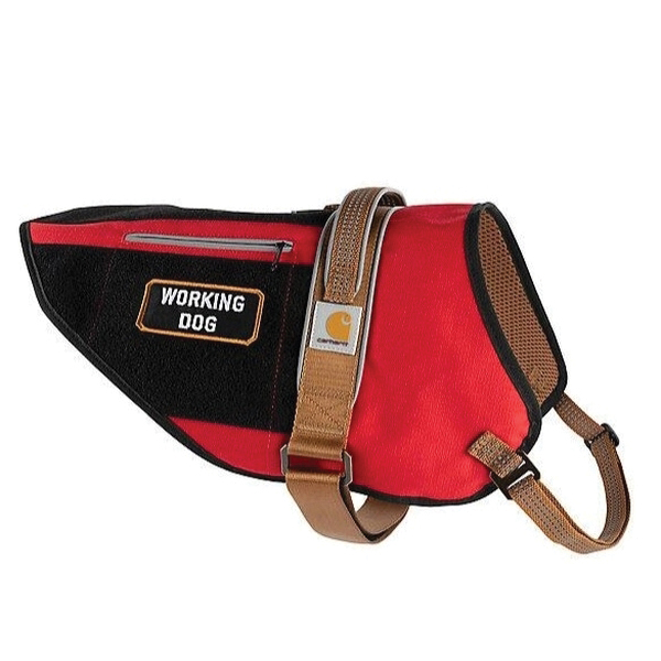 Carhartt P0000545-60104
