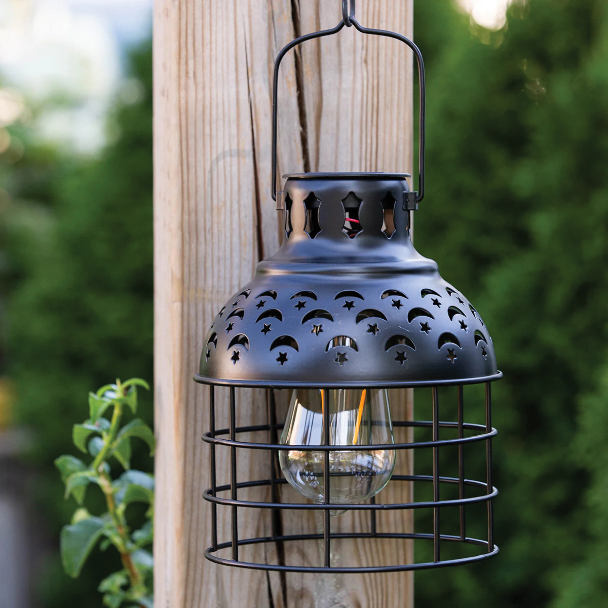 Echo Valley Edi-Sol 2532B Celestial Pendant Light, Ni-MH Battery, AAA Battery, LED Lamp, Black, Battery Included: Yes - 2