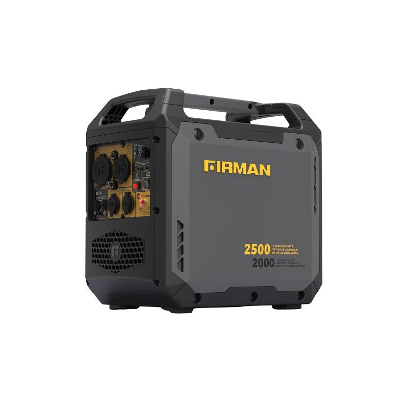 W02081 Portable Inverter Generator with CO Alert, 120 V, 2500 W Output, Gasoline, 1.1 gal Tank, Recoil