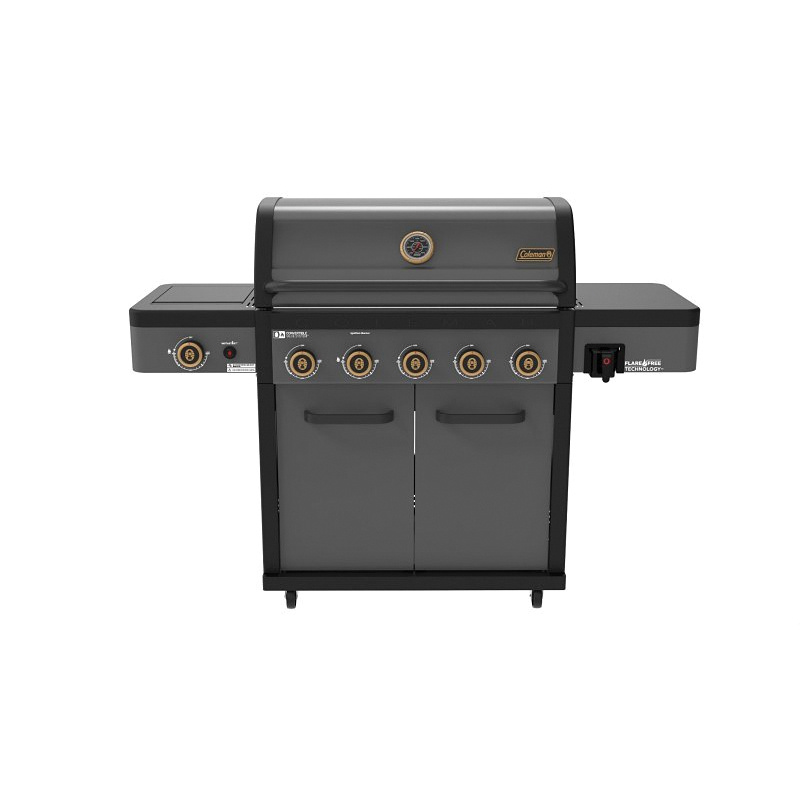 RV-501BBQ Barbecue Grill, 5-Burner