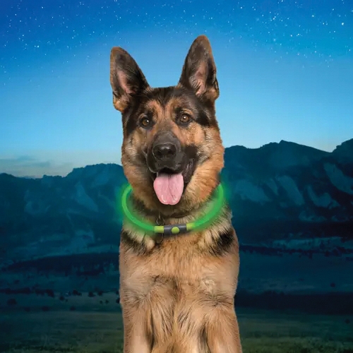 NiteHowl NHOR-28-R3 Rechargeable Safety Necklace, Polymer, Green - 2
