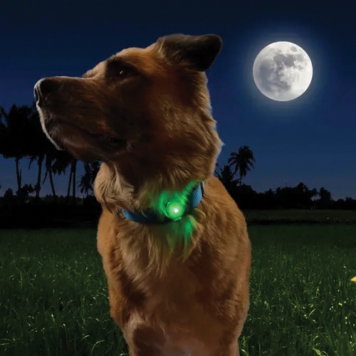 Nite Ize NiteDog NDPLR-07S-R3 Rechargeable Pet Light, Polycarbonate, Blue/Green/Red/White - 3