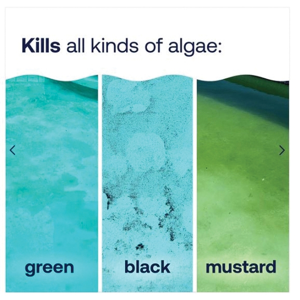 Image not found