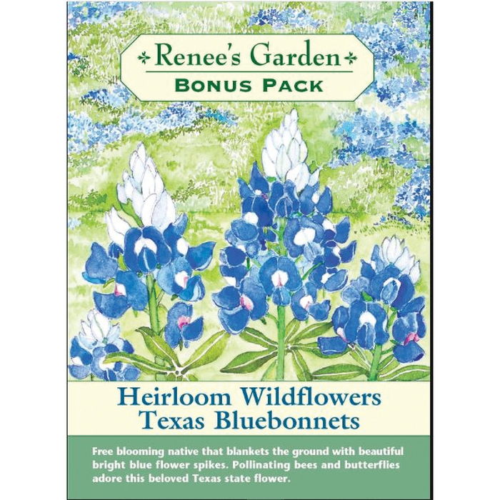 353 Heirloom Wildflowers Texas Bluebonnets Flower Seed, Lupine, Lupinus Texensis, Spring Bloom