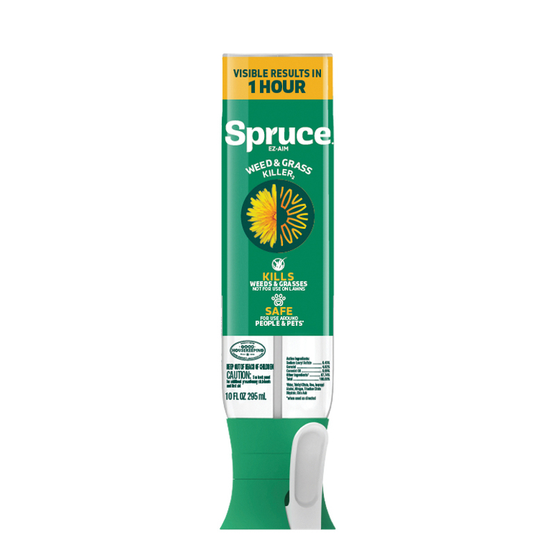 Spruce 810121300077