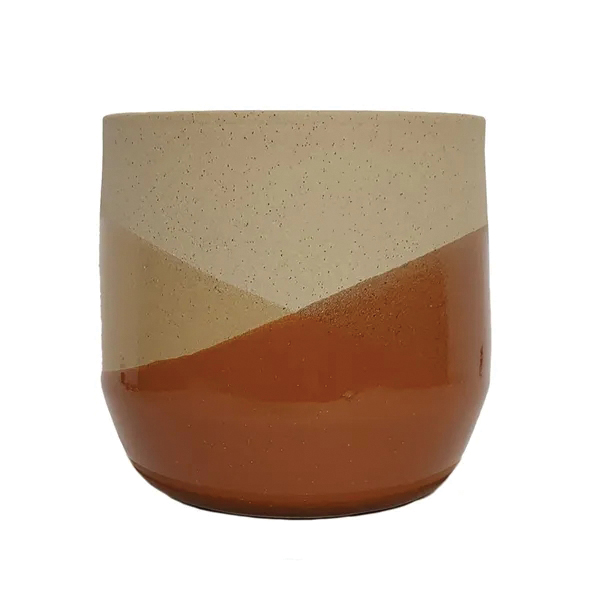 BCI 533569