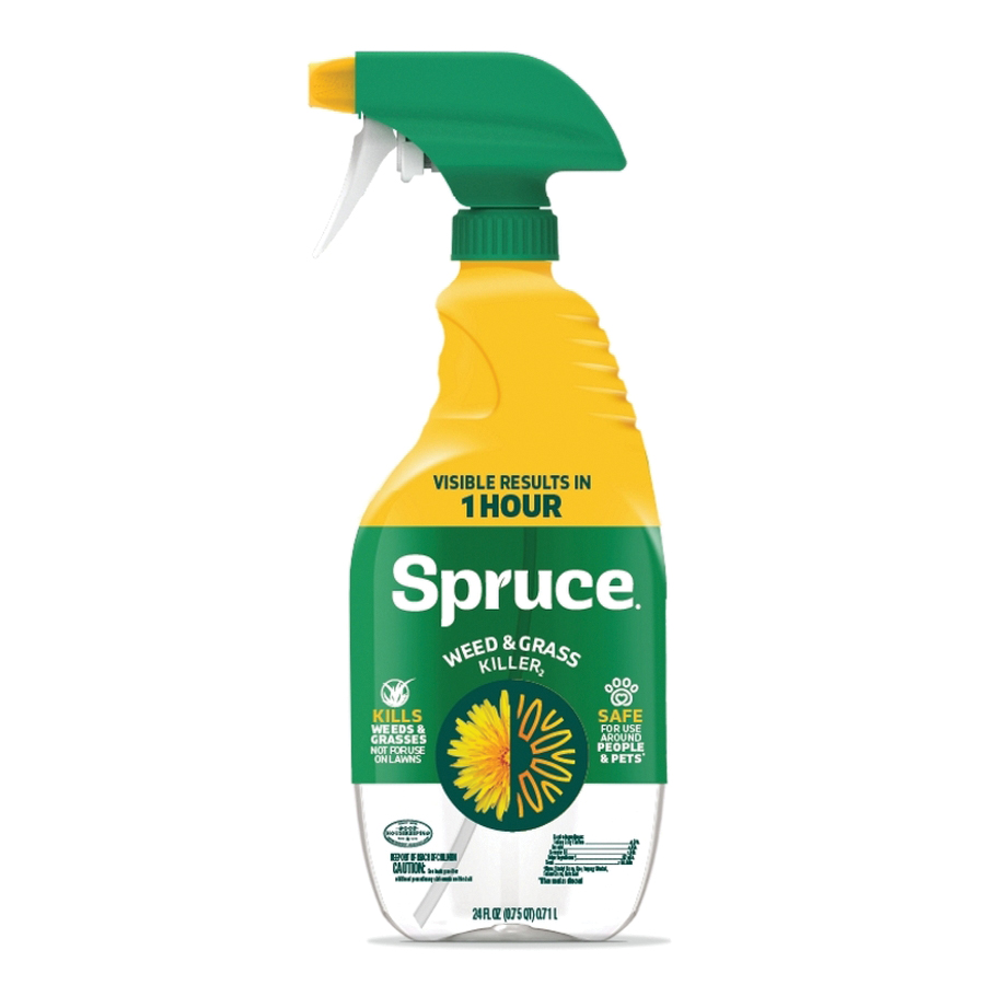 Spruce 300060