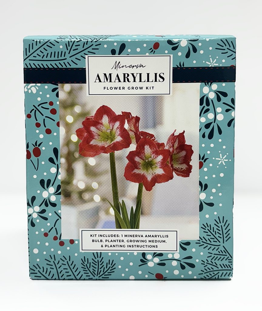 Netherland Bulb Company AMP-18M