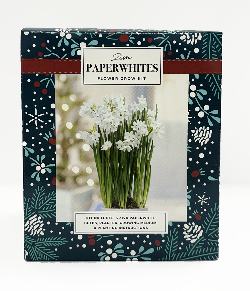 Netherland Bulb Company AMP-18 PW