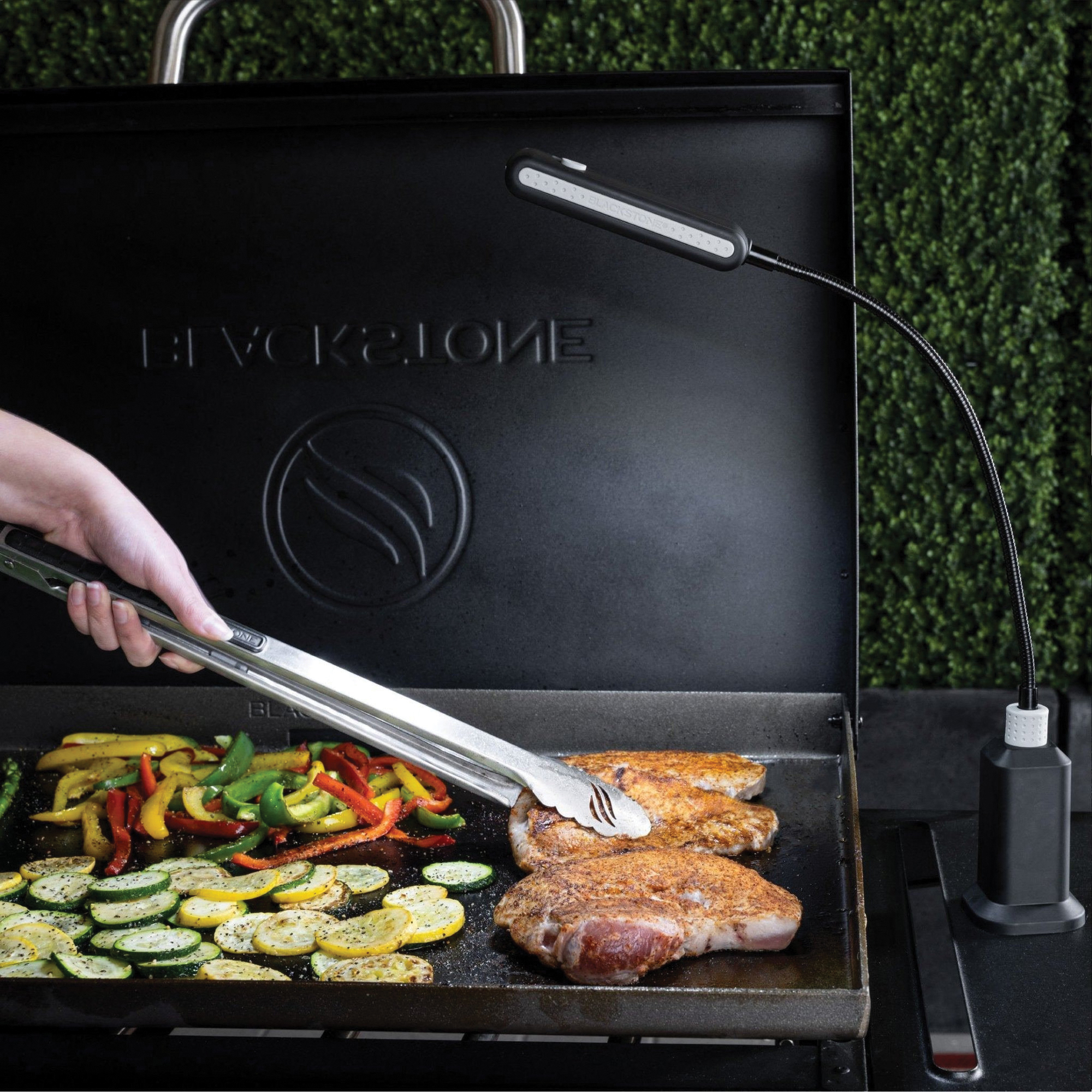 Grill Light, Blackstone, LED Lamp, 250, 350, 500 Lumens, Black - 2