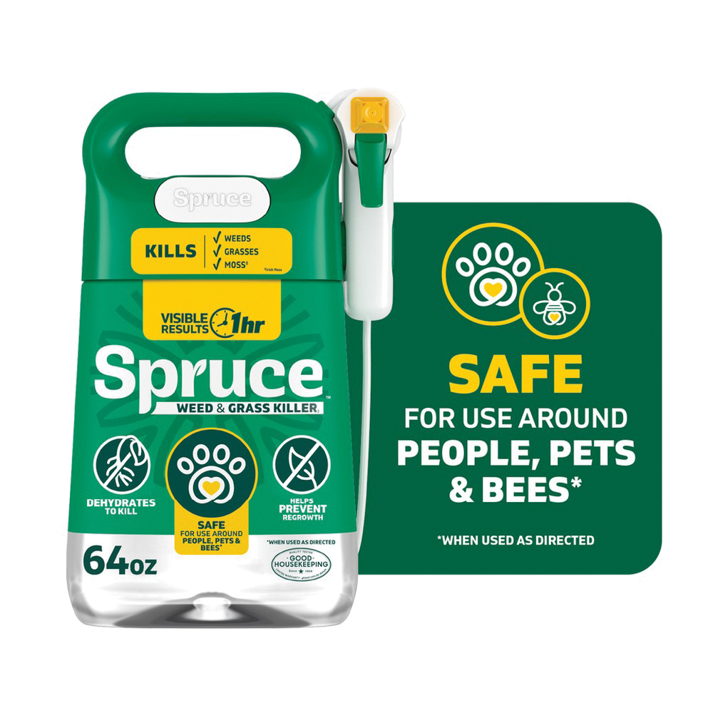 Spruce 810121300435
