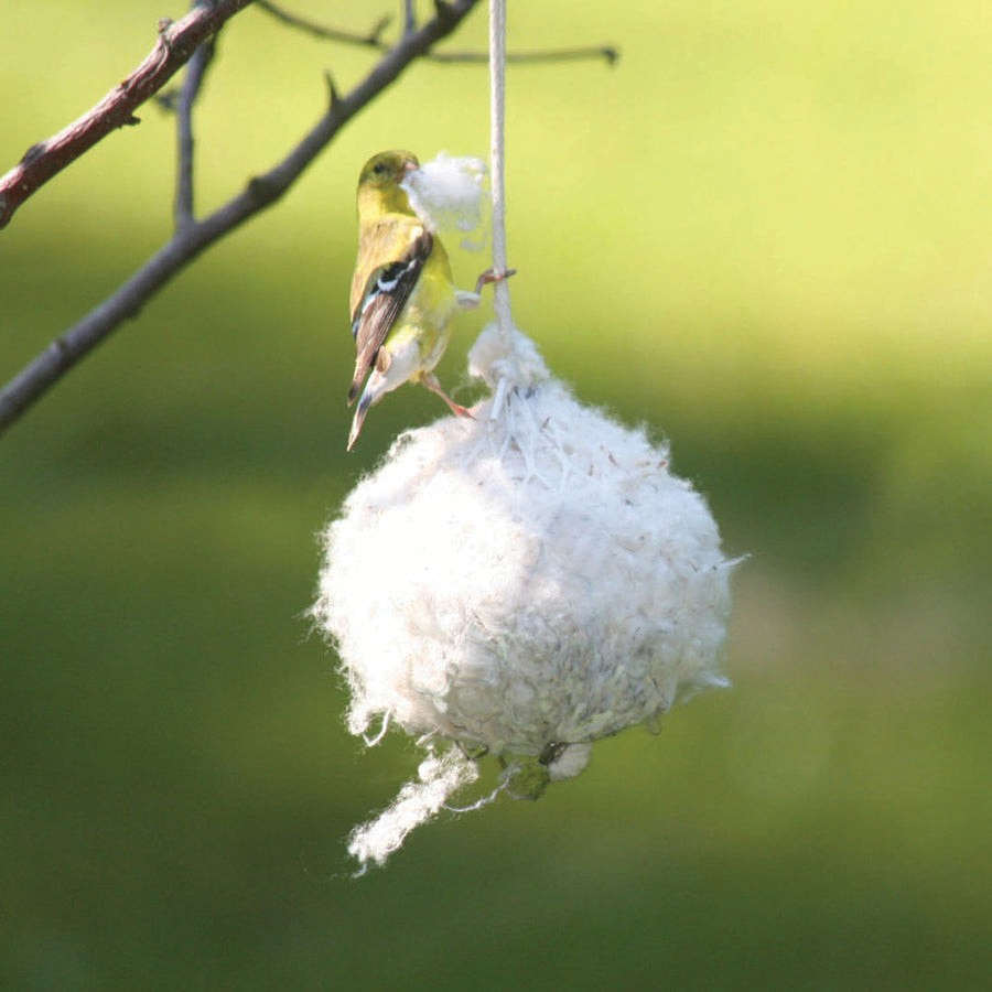 Nest Building Material, Birds Choice, Cotton - 2