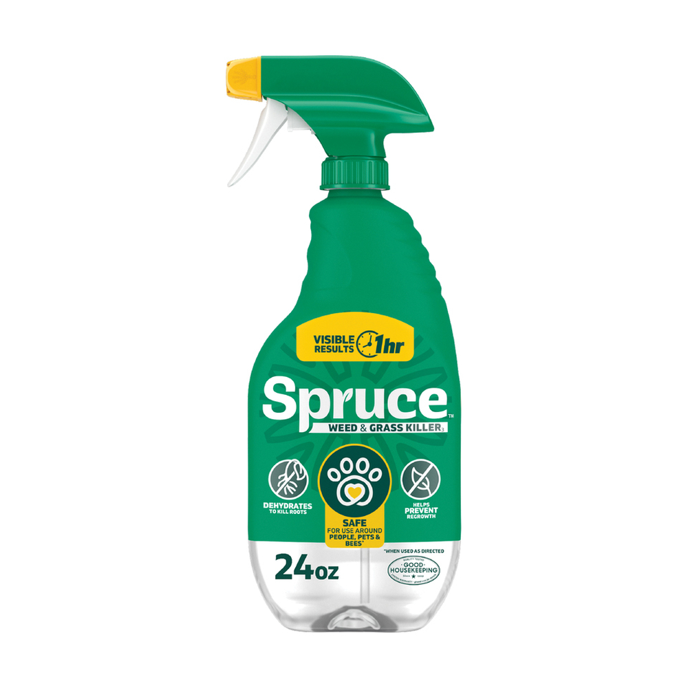 Spruce 810121300418