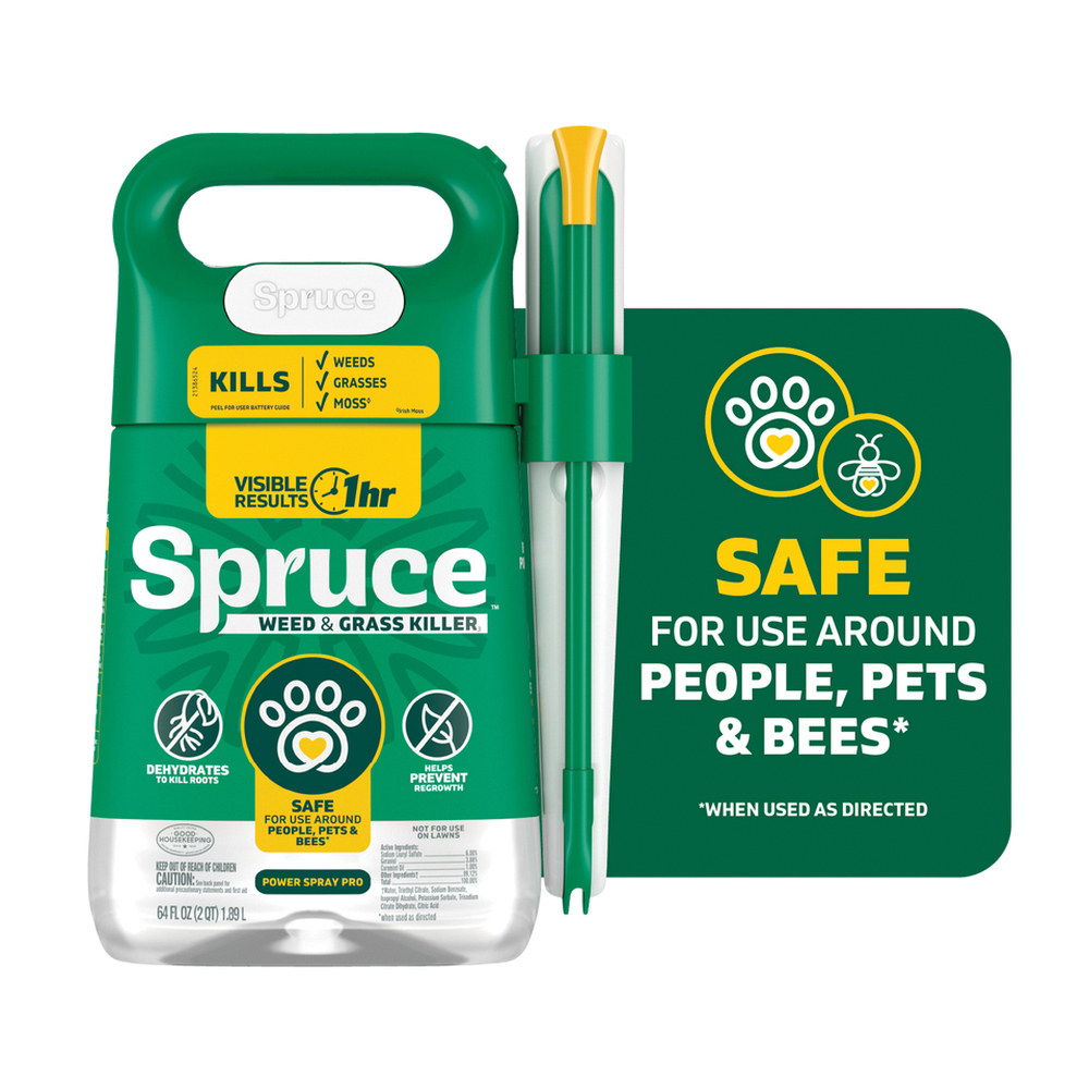 Spruce 810121300425