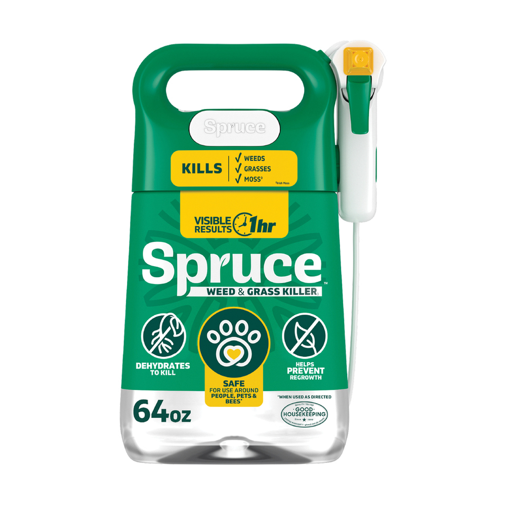 Spruce 810121300432