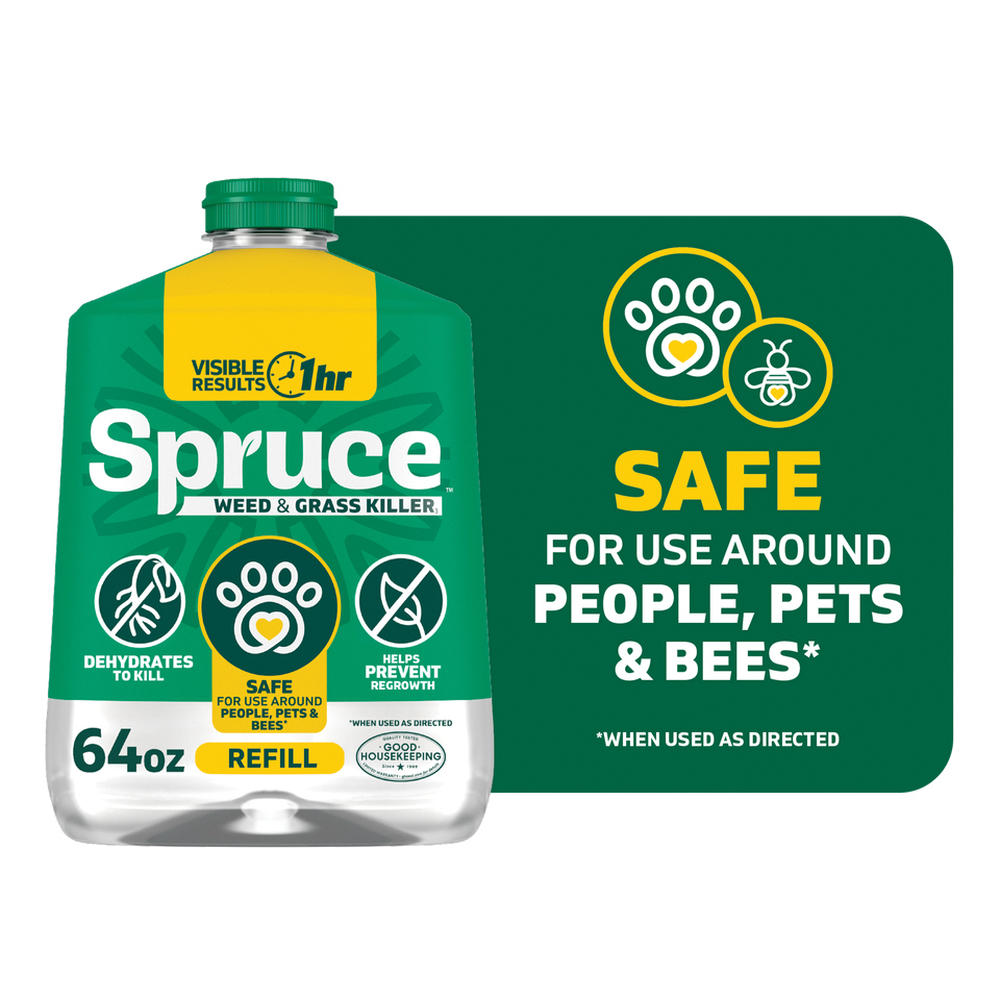 Spruce 810121300449