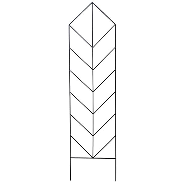 BORDER CONCEPTS 74206