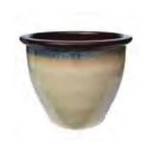 BORDER CONCEPTS 535052