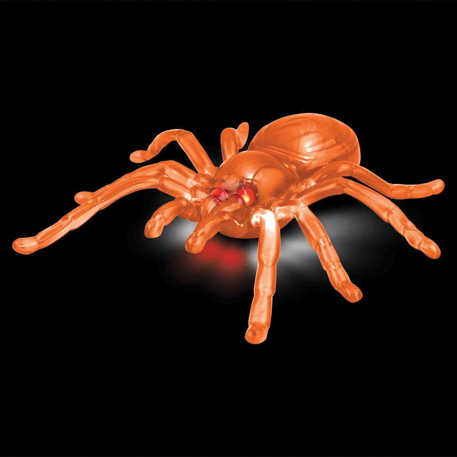 LED Spider, Halloween, Green/Orange, 8 in L - 3