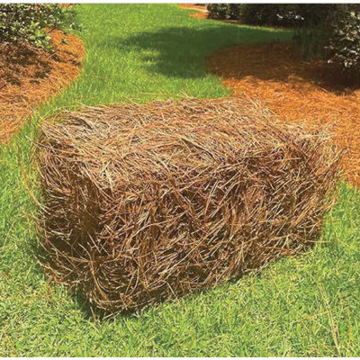 Central Pinestraw PINE STRAW BALE