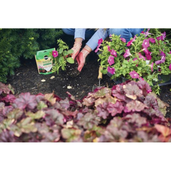 Miracle-Gro 3784101 Planting Tablet, Tablet Pack - 5