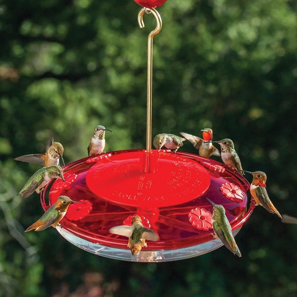 Droll Yankees H8-2 Hummingbird Feeder, Brass/Polycarbonate, Red, 12 in H, Hanging, Pole Mounting - 2