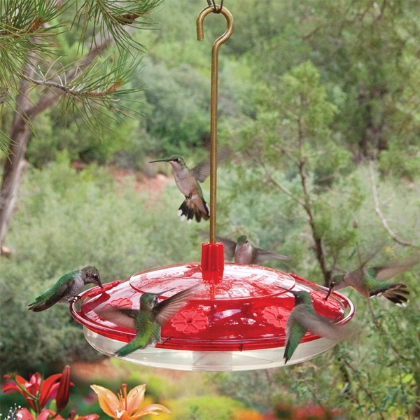 Droll Yankees H8-2 Hummingbird Feeder, Brass/Polycarbonate, Red, 12 in H, Hanging, Pole Mounting - 3