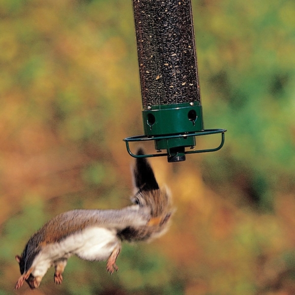 Droll Yankees Yankee YF Flipper Bird Feeder, 28-1/2 in H, 5 lb, Polycarbonate, Forest Green, Powder-Coated - 3