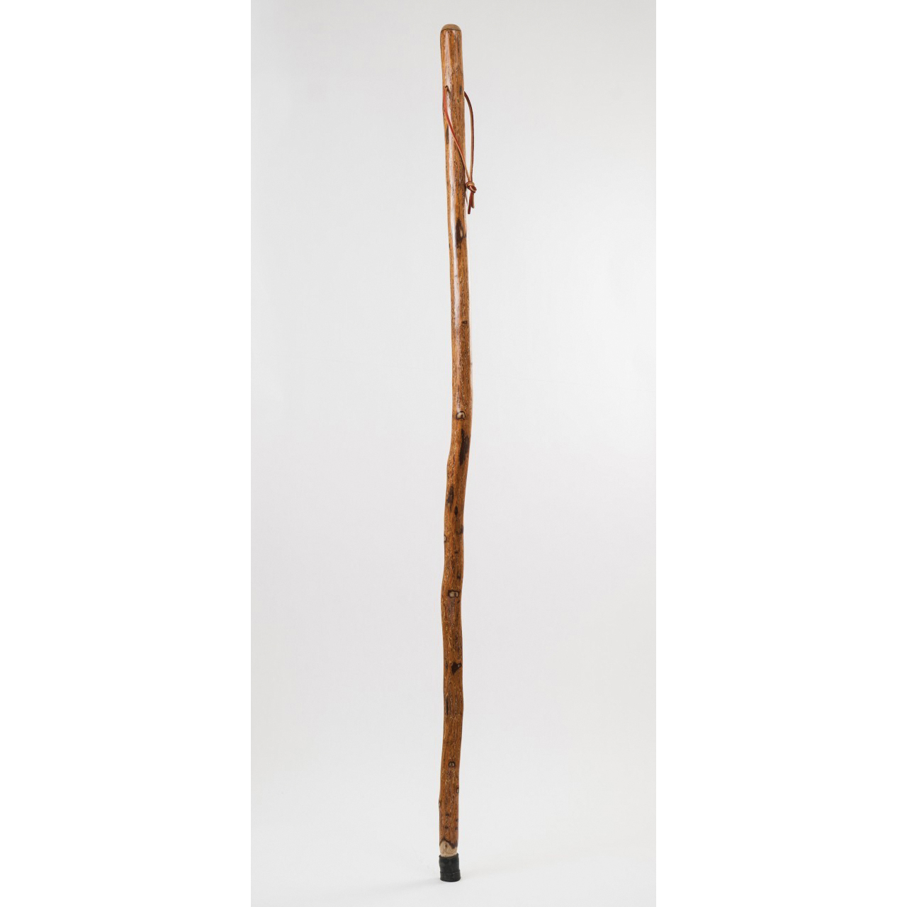 602-3000-1210 Free Form Walking Cane, 55 in H Cane, Standard Handle, Wood Handle, Sassafras, Lacquer